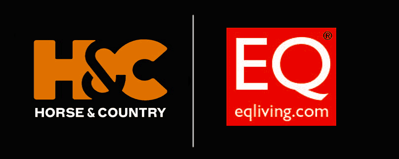 EQ Figueras Design group logo