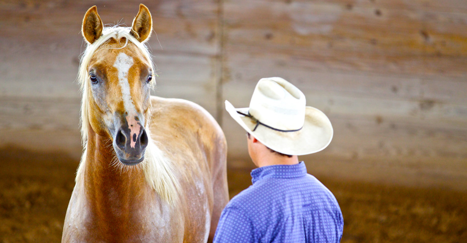 The Photography of Lyle Lovett – Equestrian Living