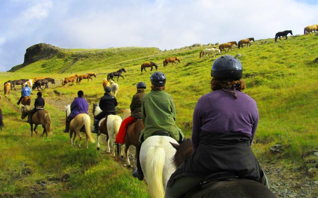 AdventureWomen Iceland Horseback riding 2