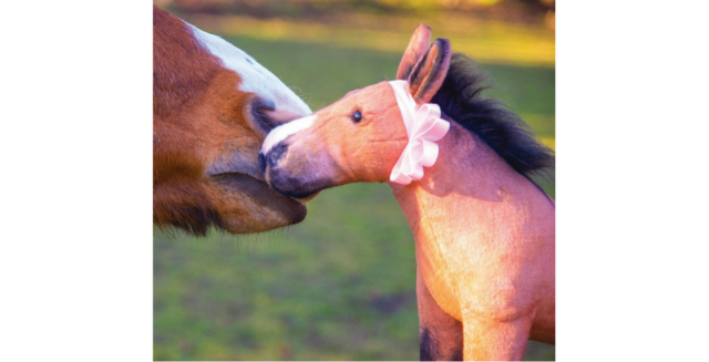 cuddle clones horse