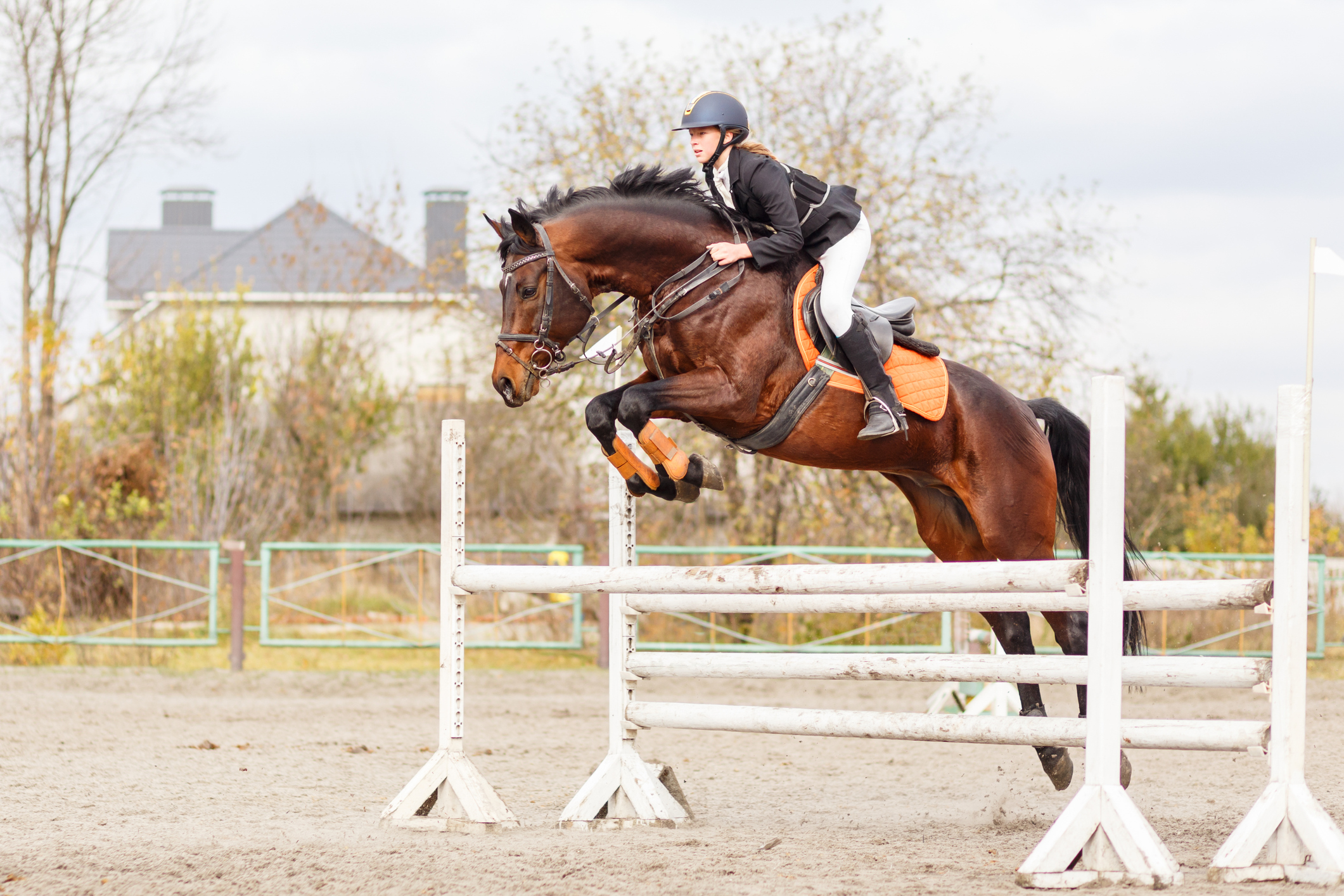 Tryon Equestrian Center Equestrian Living