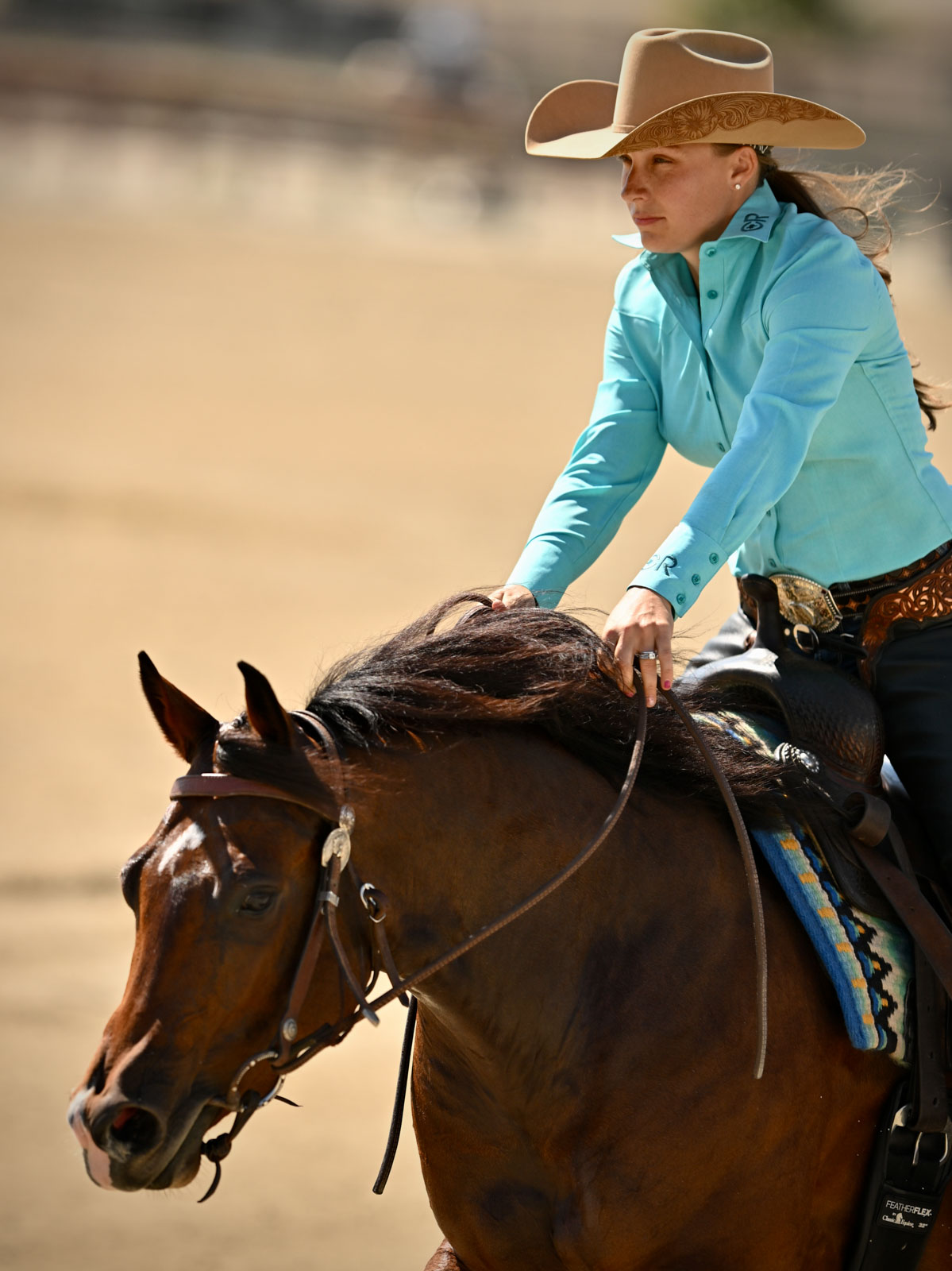 Reining By The Bay Equestrian Living