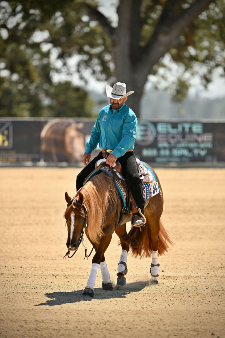 Reining By The Bay Equestrian Living