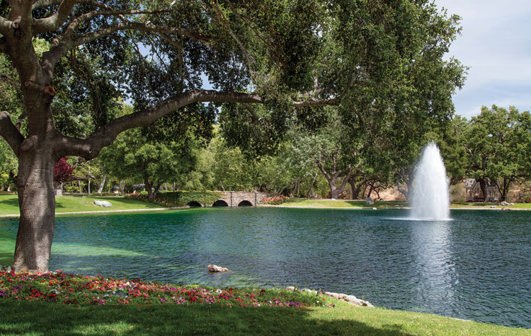 Sycamore Valley Ranch Equestrian Living