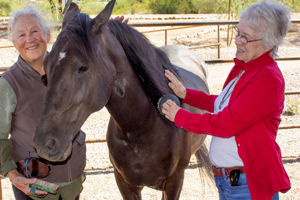 senior care horse therapy