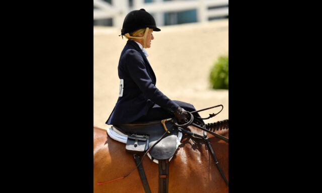 Champion-Ladies-Hunter-Side-Saddle-Susan-Sisco-in-the-Ladies-Hunter-Side-(on-Ringfort-Thinkaturk)