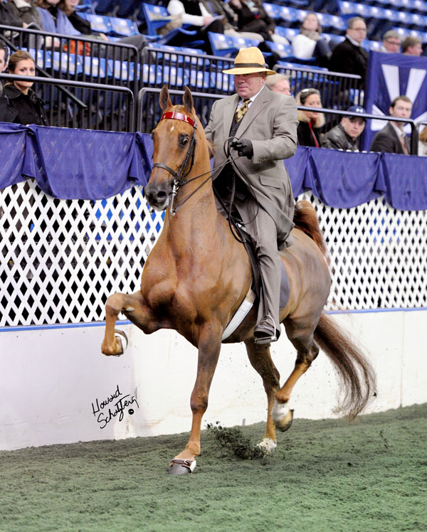 William Shatner riding horse