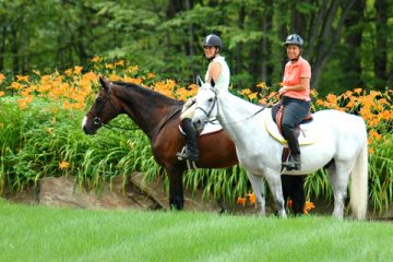 riders on horses at low risk of Covid-19