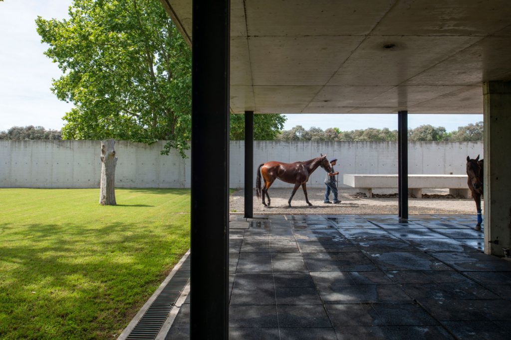 horse walking Figueras Polo Stable