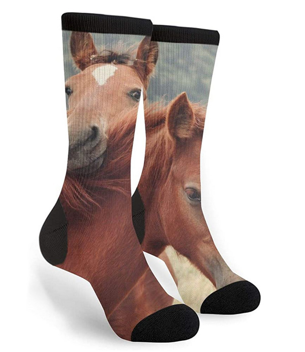 horse socks face 
