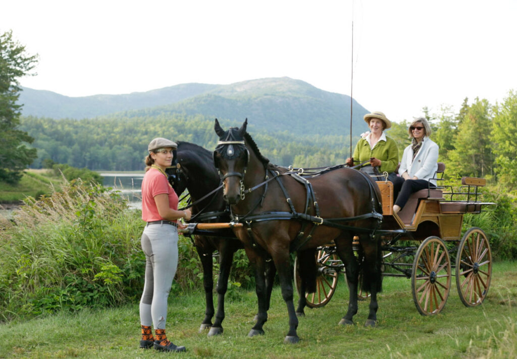 A pair of horses and a carriage with Eileen Rockefeller in front of a mountain in Maine
