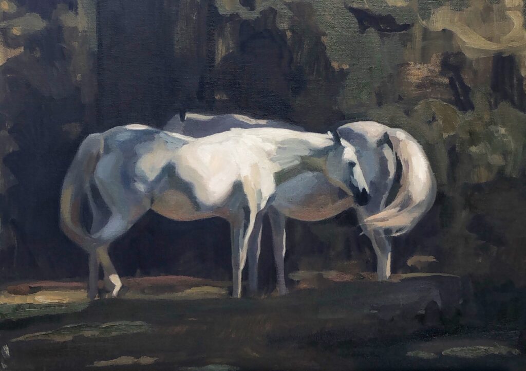 Summer, an oil painting by Romy Elliott of two grey horses standing nose to tail in dappled shade