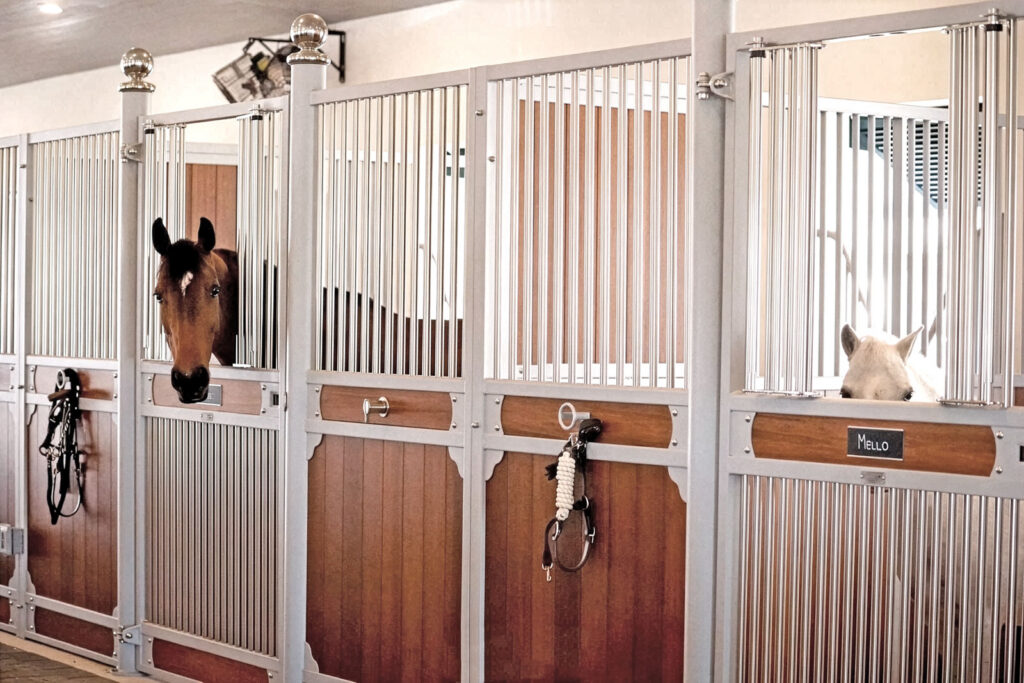 Horses look out from their stalls at Team Welles Farm in Wellington, Florida