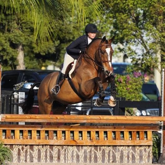 Kristina Christiansen riding Startin’ Monday over a fence at WEF